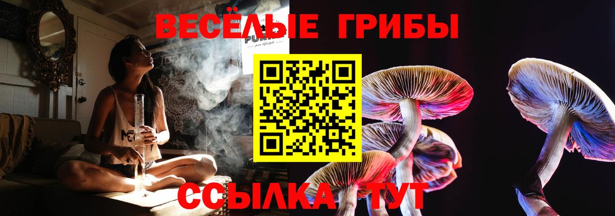 Галлюциногенные грибы Psilocybe  Вход с VPN  Городец  цена   Псилоцибиновые грибы прущие грибы 